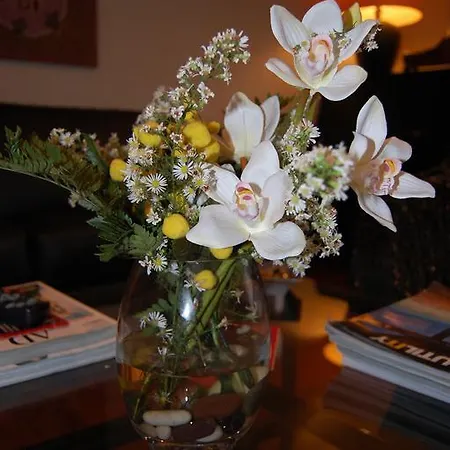 Couette-café Strasburgo *