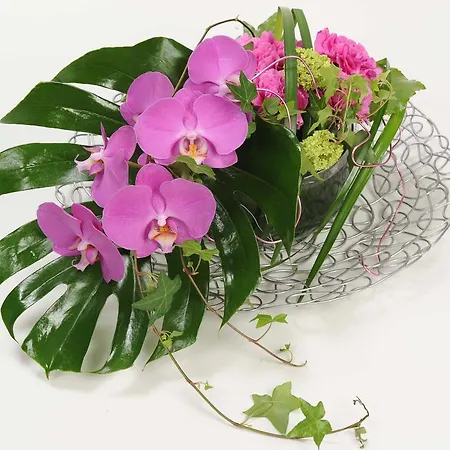 Couette-café Strasburgo Palerme